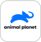 animal planet channel