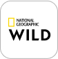 national geographic wild channel